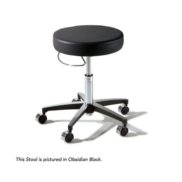 Graham-Field 276 Basic Stool, Pneumatically Adjustable, Hand Release, Shaded Green 276-001-853